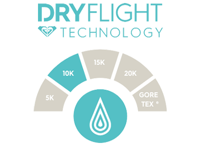 icons/233/dryflight-10k_00.png